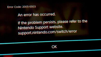 Nintendo Switch Error Code 2005-0003